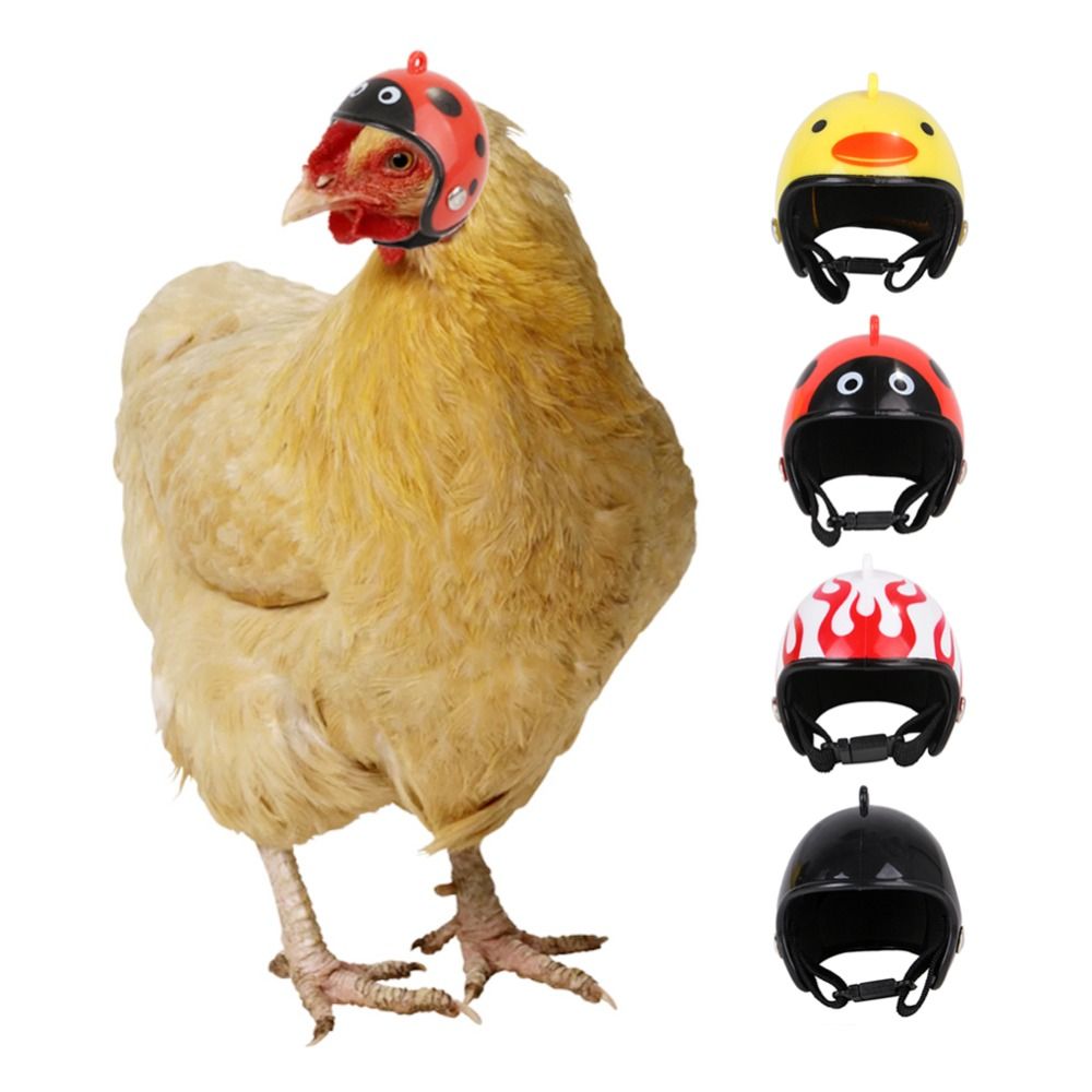 Perlengkapan Hewan Peliharaan  - Pet X Supplies & Tack Howell ulasan dan harga