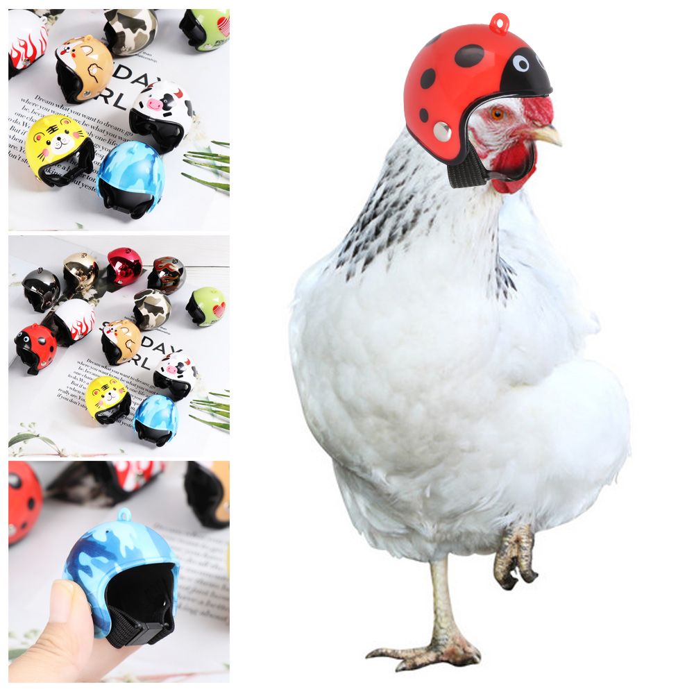 Perlengkapan Hewan Peliharaan  - Pet X Supplies & Tack Howell ulasan dan harga